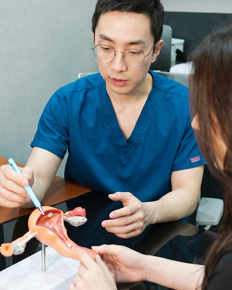 여성성형 여성미학 진료 이미지